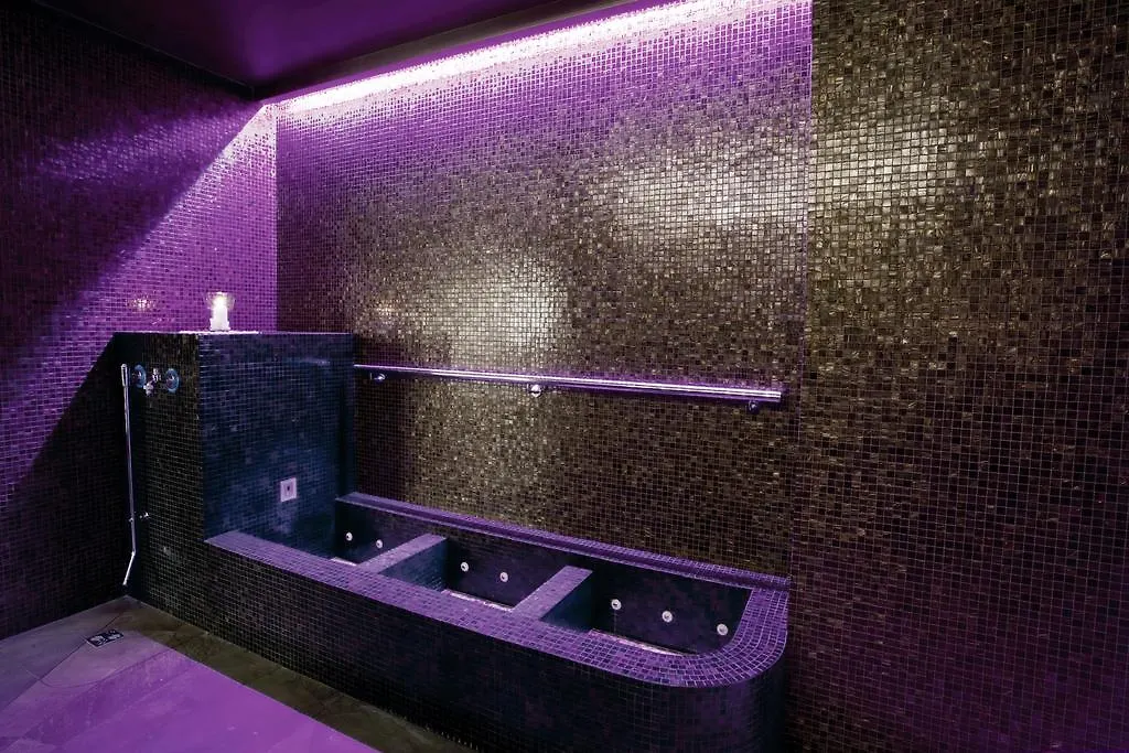 Hotel Dei Fiori Restaurant - Meeting & Spa 阿拉西奥