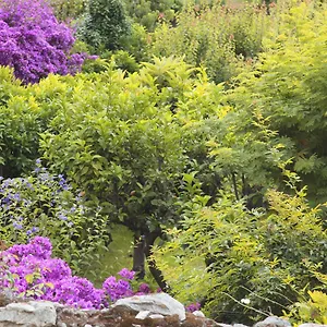 Casa Nobile Bed & Breakfast